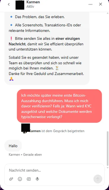 Im Testchat: Karmen tritt nach der Anfrage an das Support-Team bei.