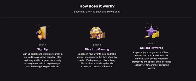 PlayBet VIP Program Steps